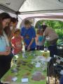 B&auml;ume bestimmen
