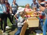 Wo verstecken die Bienen ihren Honig?