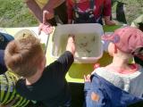 Wasserlochbewohner